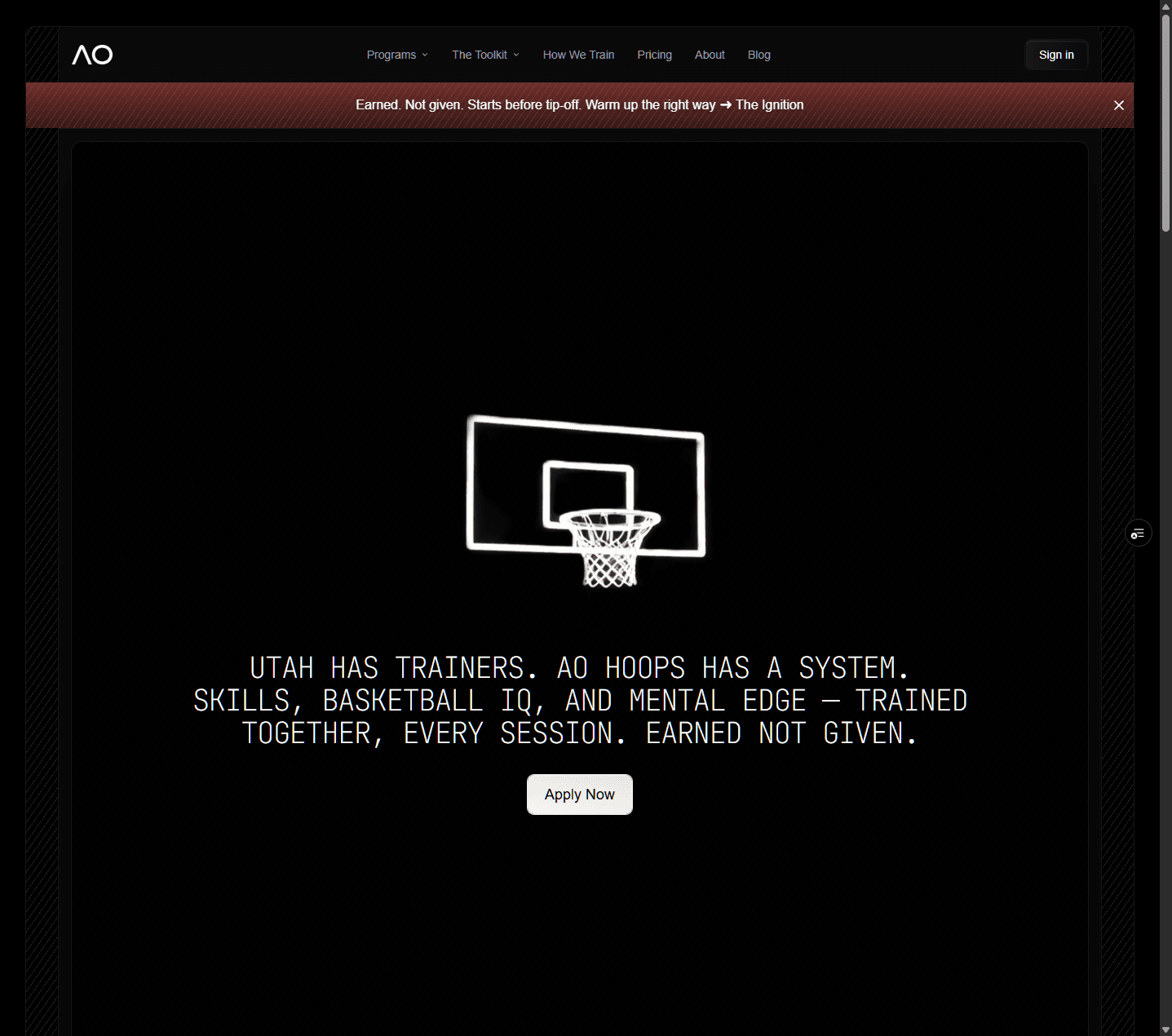 AO Hoops